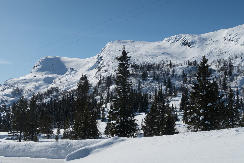 Oversikt over fjellsida. De naturlige skreda hel til høyre og ruta opp omtrent midt i bildet