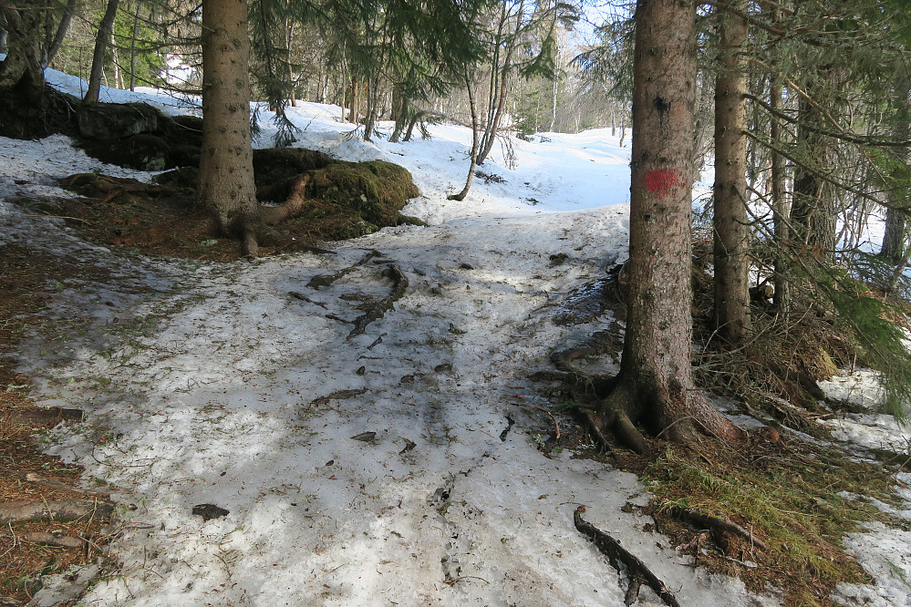 Et av flere "utfordrende" partier