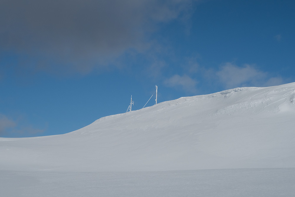 Første møte med antennene