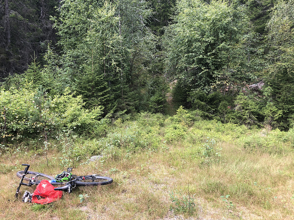 Stistart rett inn i bushen 