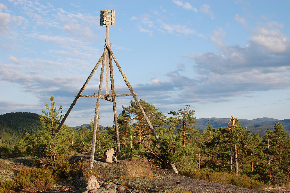 Bjørnhusk