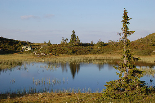 Idyllisk tjern på vei mot Bikkjenuten.