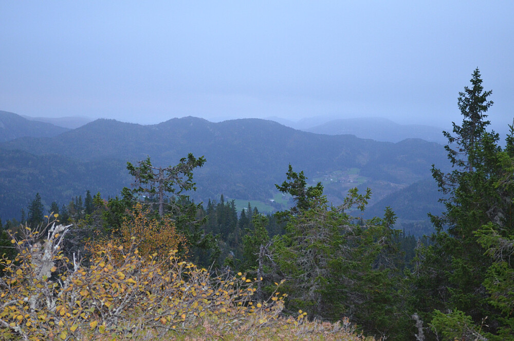 Utsikt fra det høyeste punktet på Venåsnuten