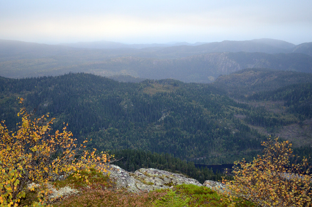 Fra den nordvestre bergknausen