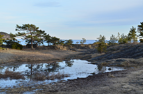 Fra Jypleviktangen