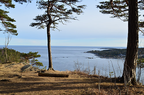 Fra Rognsåsen