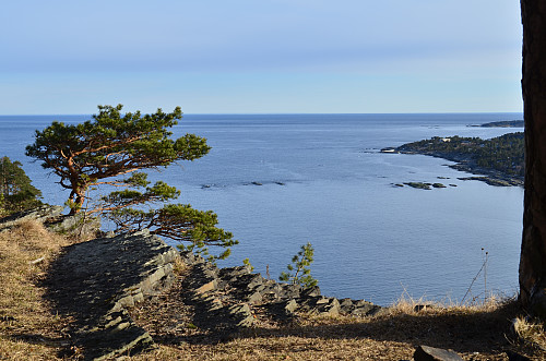 Fra Rognsåsen