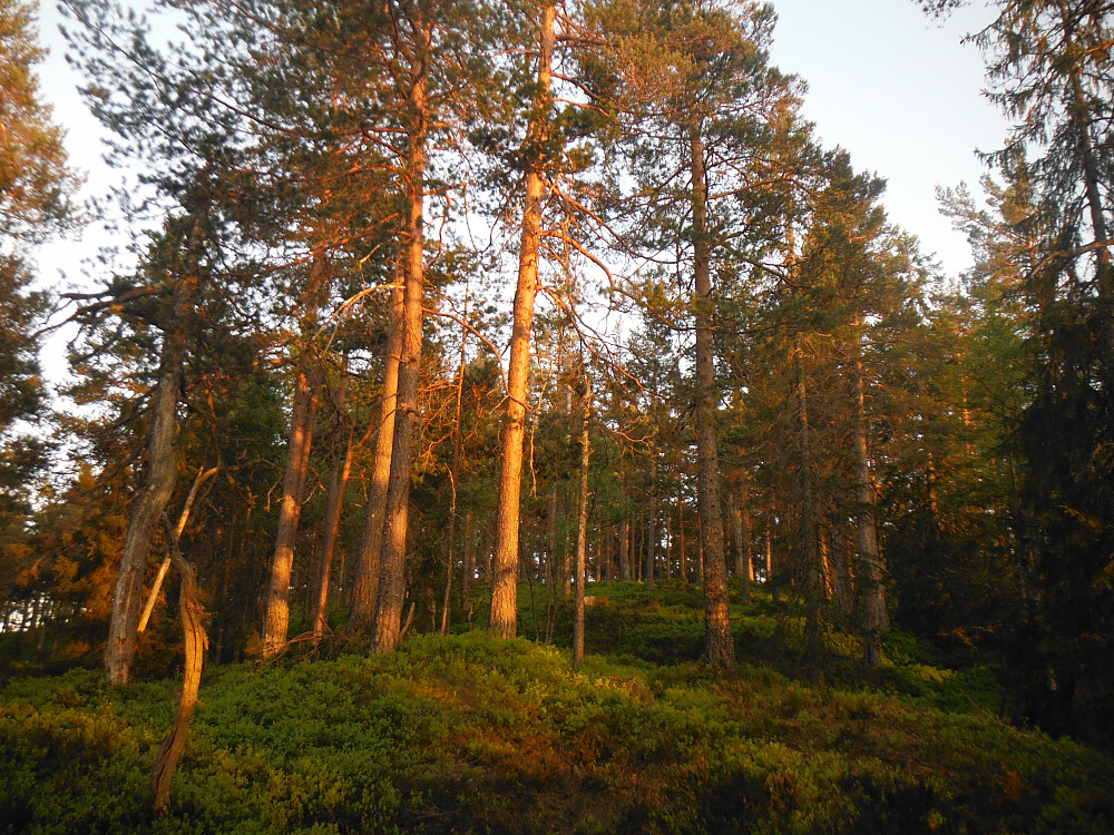Siste glød av kveldsol rett nedenfor toppunktet