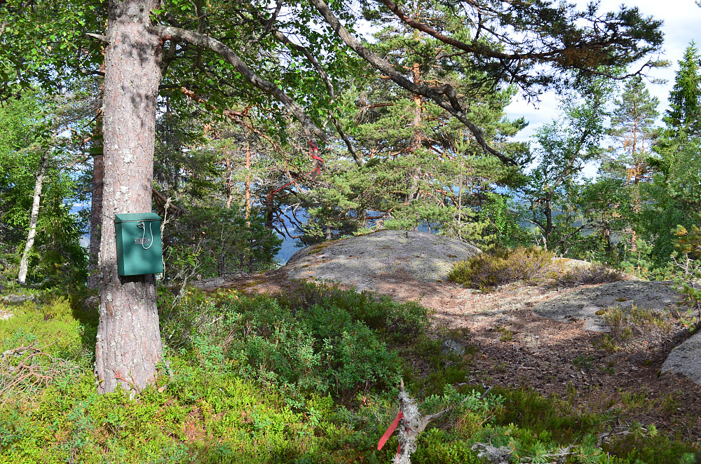 Trimposten på Meinstadfjellet