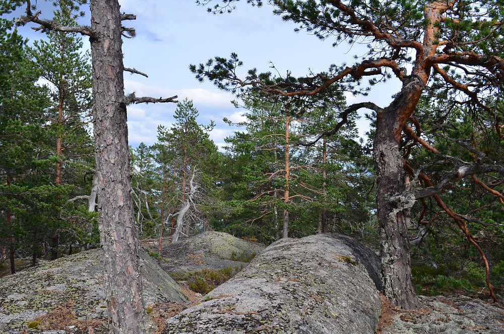 toppunkt Meinstadfjellet