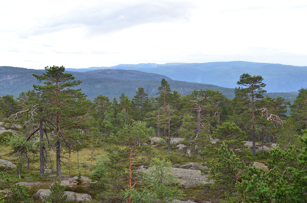 Utsikt fra Gautilnuten