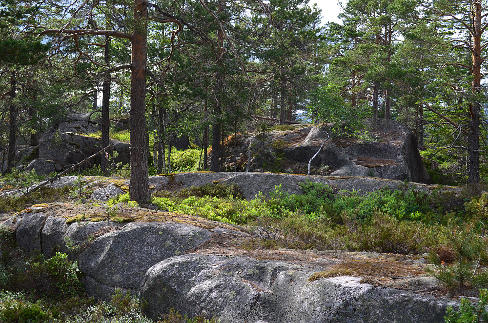 Toppen av Meinstadfjellet
