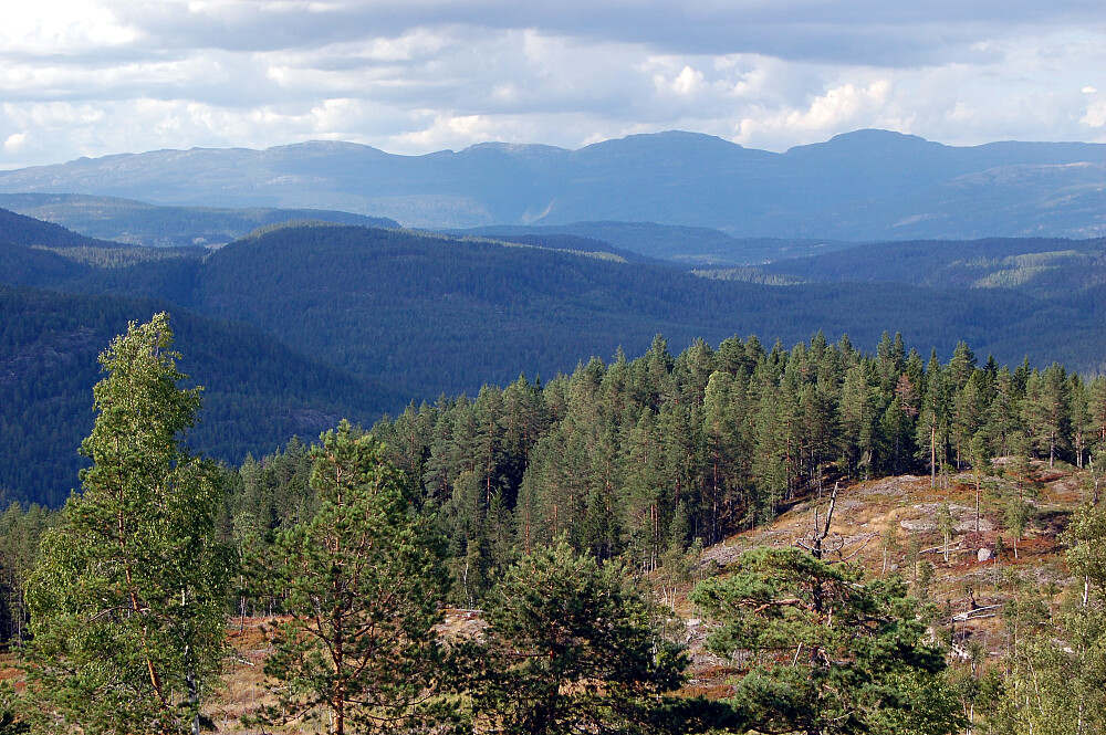 Fra nordre Knattåsen