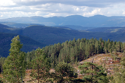 Fra nordre Knattåsen