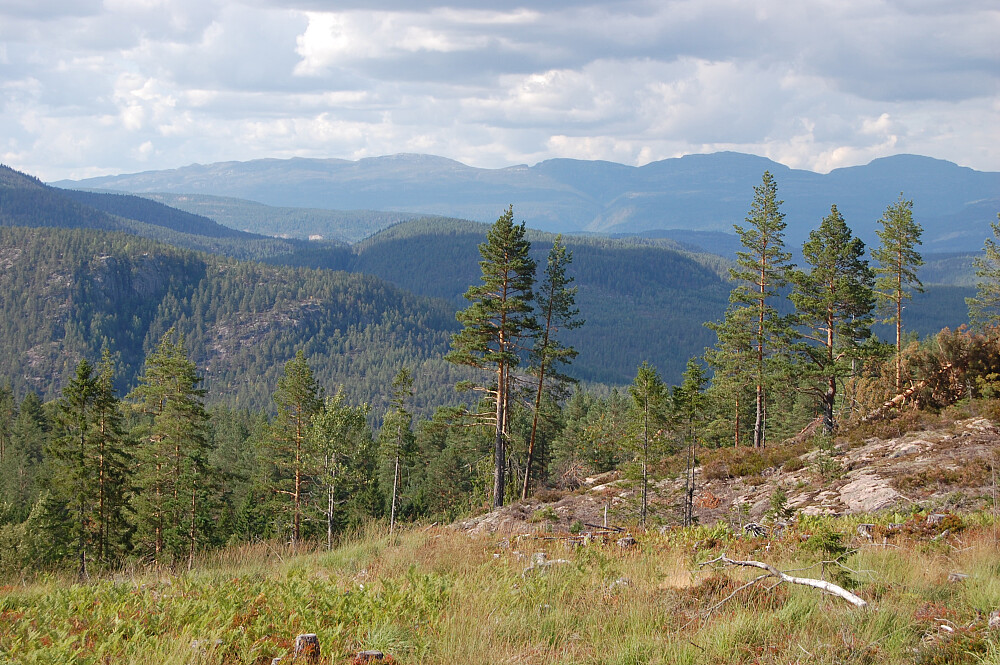 Fra nordre Knattåsen