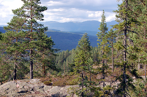 Fra nordre Knattåsen