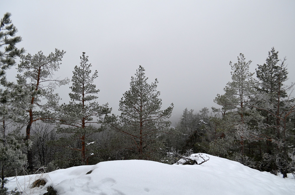 Fra toppunktet på Fjølbuåsen