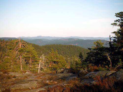 Fra Sandseterfjellet
