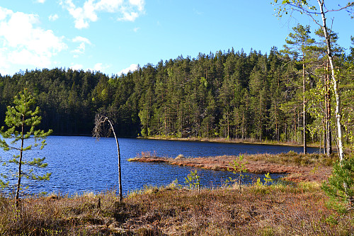 Gjærumstjenn