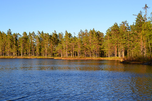 Gjærumstjenn