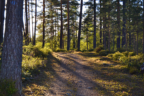 Parti løype