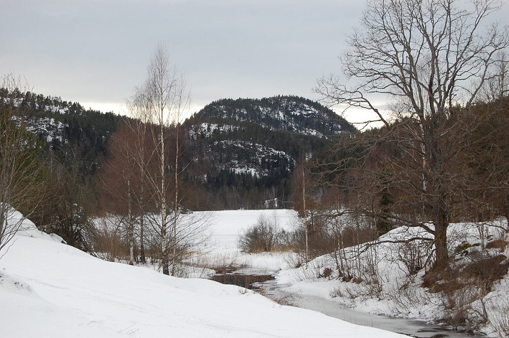 Øykollen sett fra jordet på Frønes. 