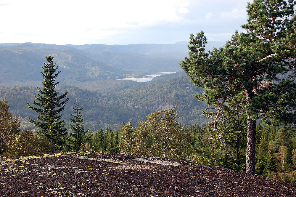Utsikt fra toppunktet nord for Brantemyr