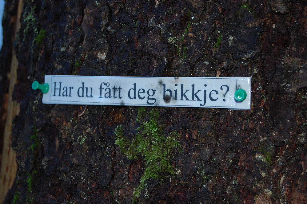 ..nei