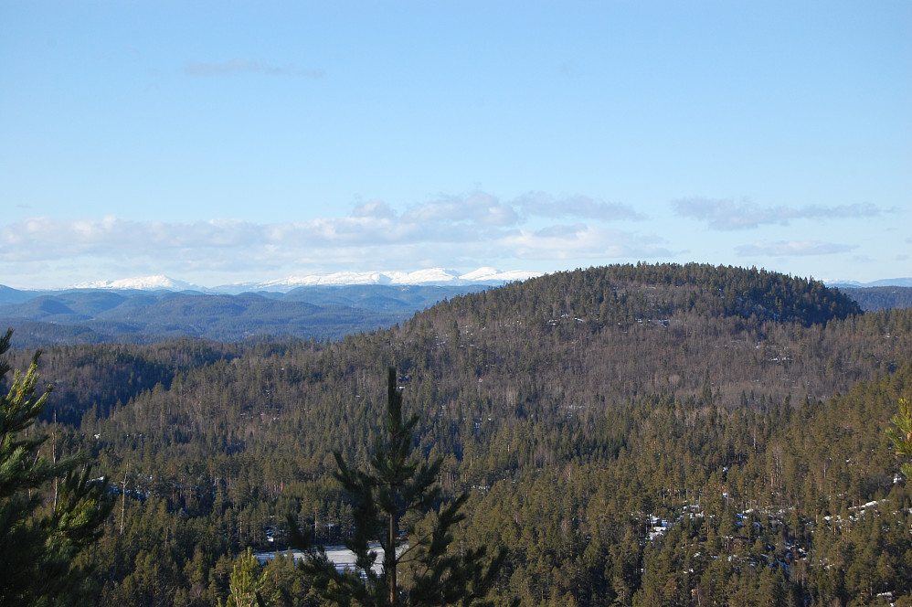 Utsikt fra Bamblefjell mot Lifjell. Havsåsen til høyre.