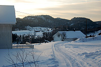 Bjørnøy gård, med idyllisk beliggenhet på øya. 