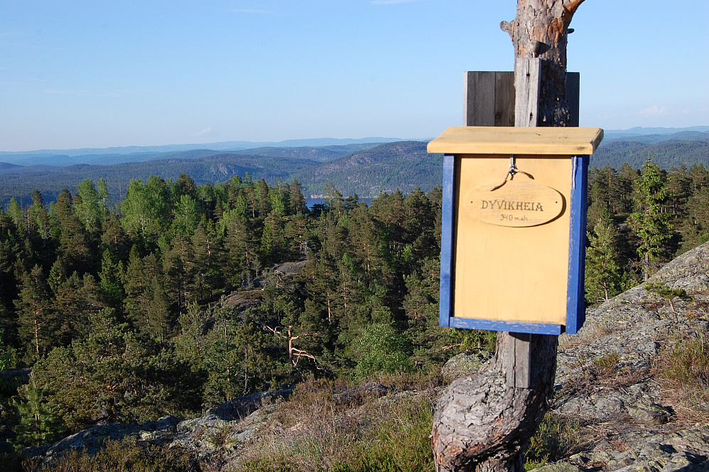 Dyvikheia, trimpost