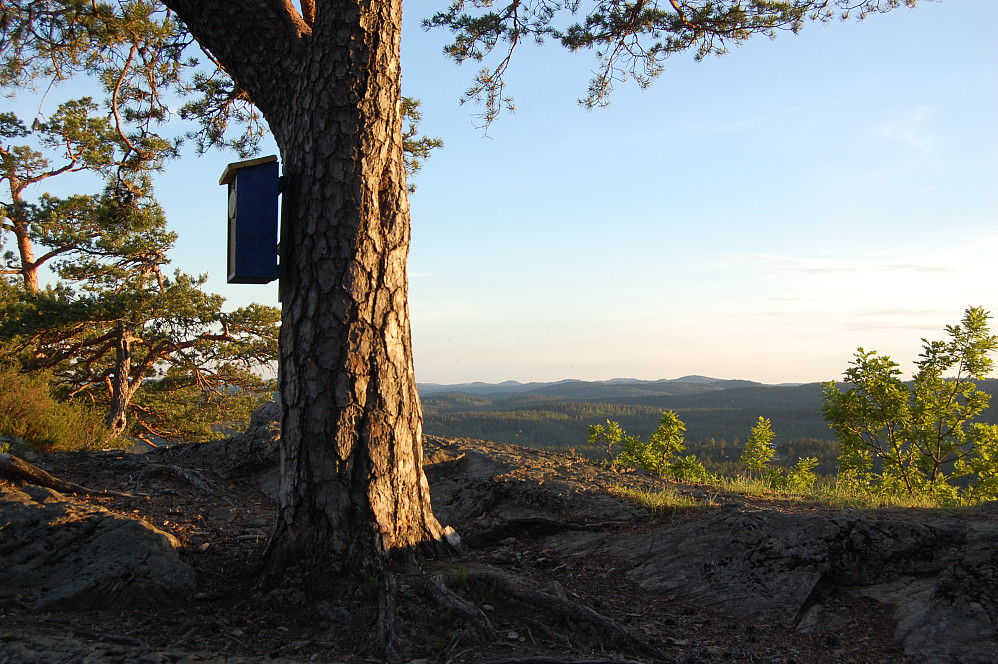 Rødsfjell, trimpost