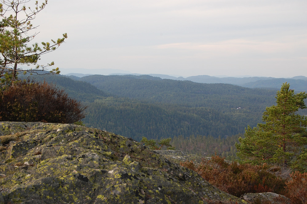 Utsikt fra Krokvassheiane|centrum