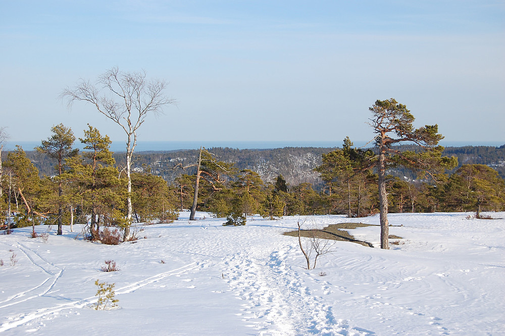 Fra området rundt toppen av heia