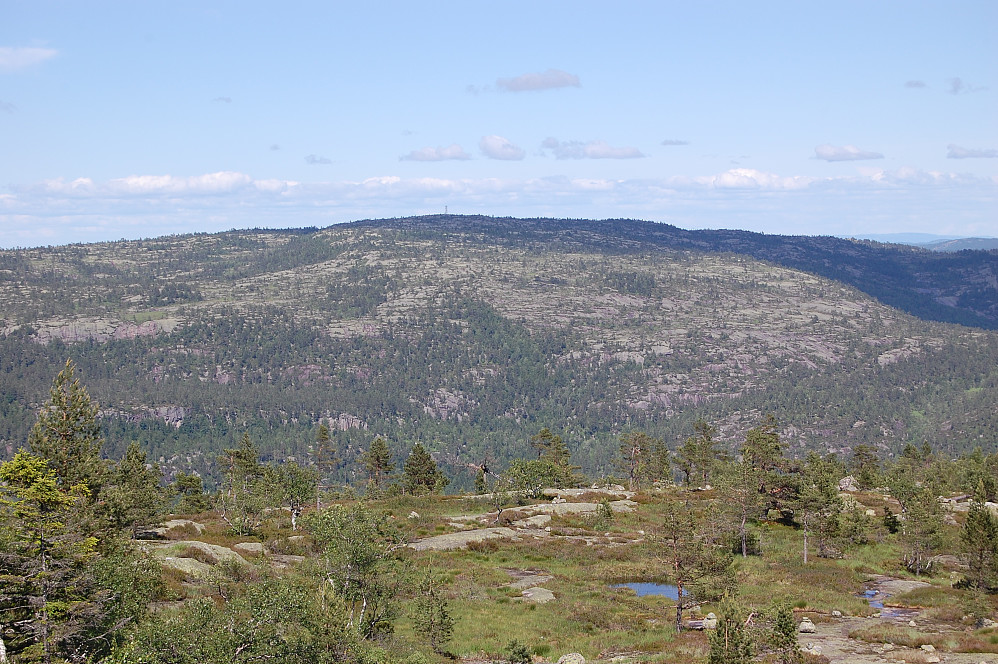 Solhomfjell sett fra Havrefjell. Branntårnet ses i bakgrunn