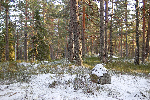 Skavdalsfjellet