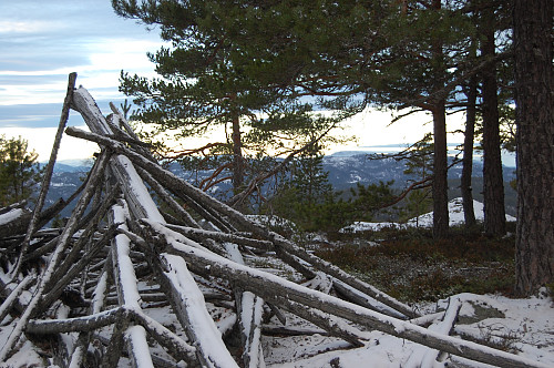 Fra toppunktet på Sundbøfjellet. Trimposten står på en annen høyde lengre sørøst (punkt 434)