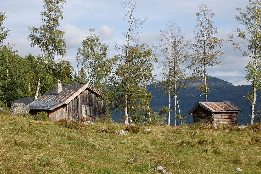 Fra den nedlagte plassen Skori (Høgeskor)