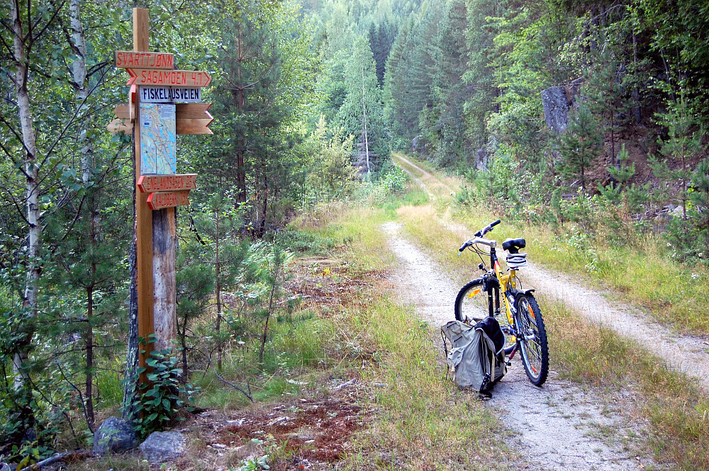Fra Fiskeløsveien ved Svarttjønn