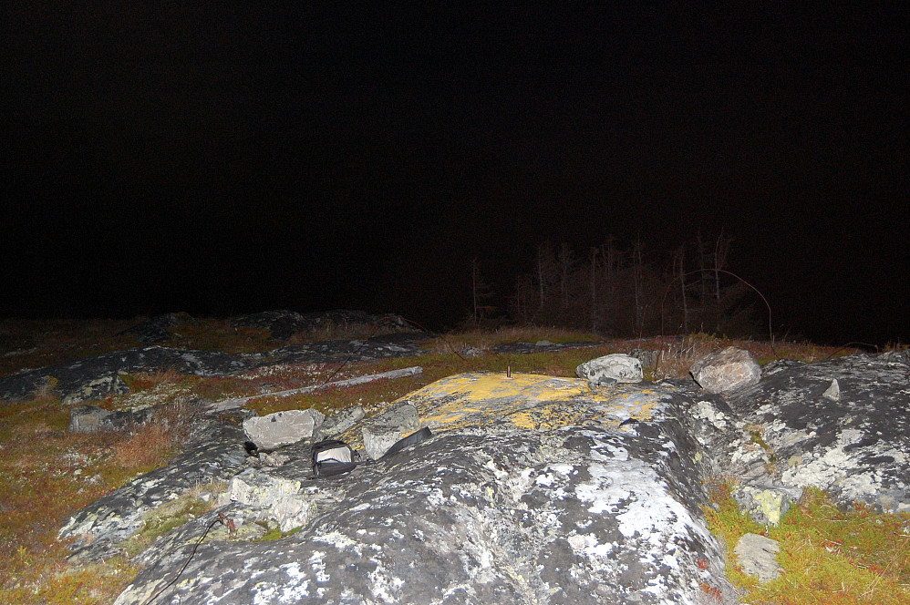 Grønlifjellet (Gullnesnuten)