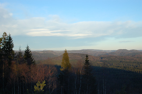 Et par, tre pf 100-topper i Larvik i sikte. 