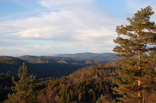 Mot Vealøs