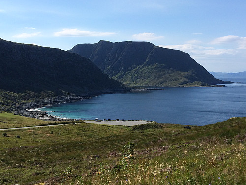 Flotte Mulevika