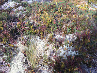 Moody_20160407_57061ffc6e61c.jpg