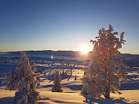 hjoerne_20180121_5a64a83451351.jpg