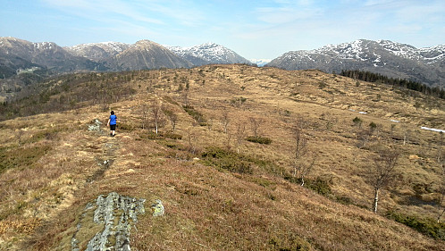 Nordover frå Solbakkafjellet