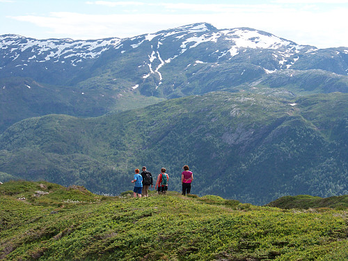 På veg ned frå Hananipa med Gullfjelltoppen bak