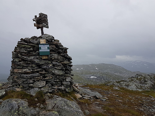 Grått vẽr på Grønahorgi