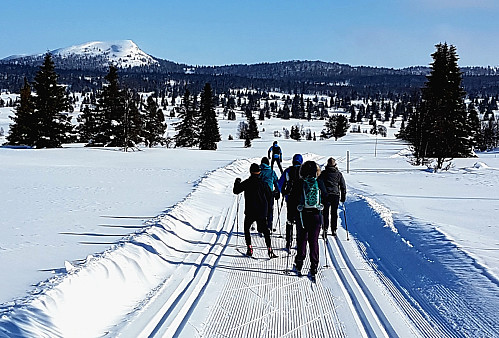 Auenhaugen kneiser over langrennsløypene på Golsfjellet