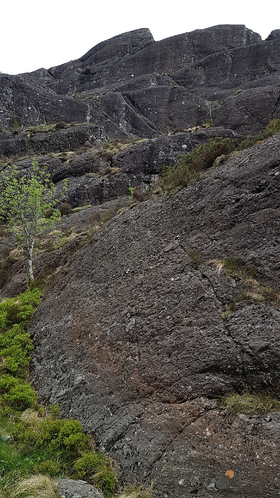 Merka sti ned her. Heftig og morsomt